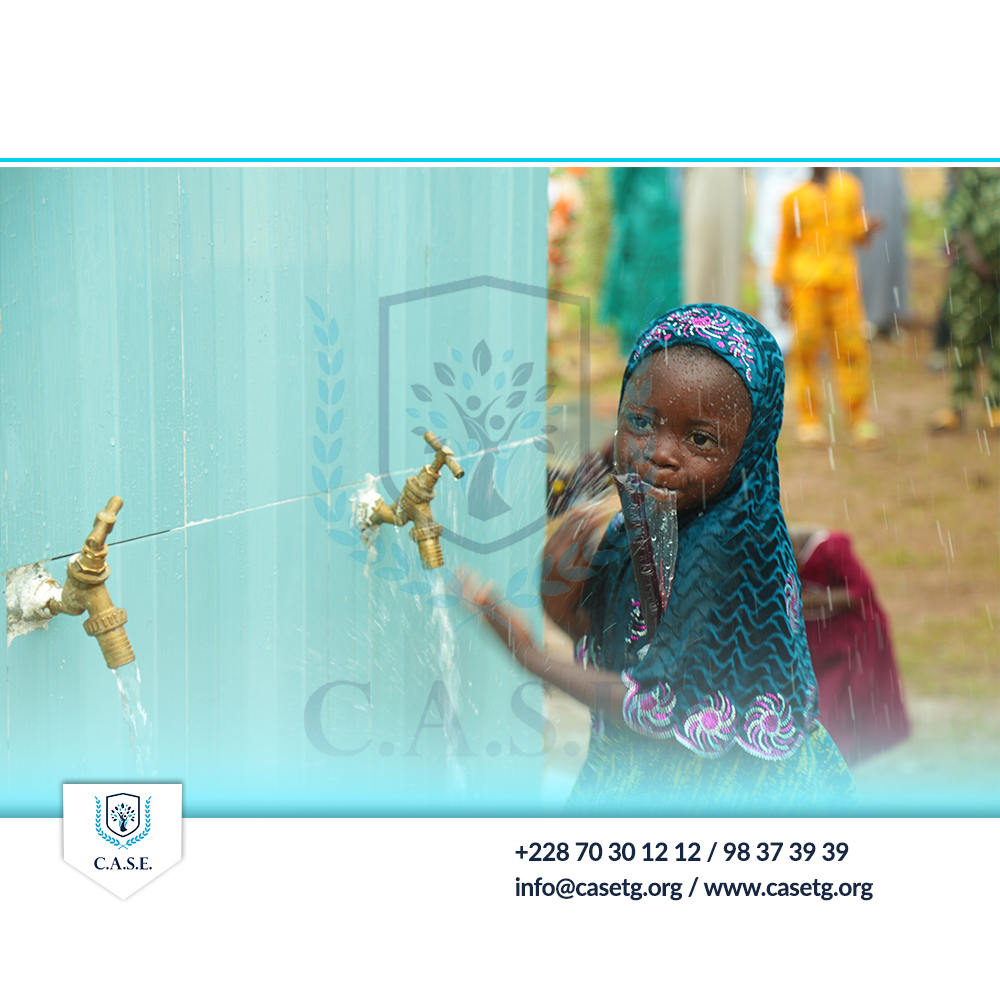 INAUGURATION DE FORAGES